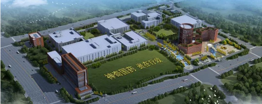 600613神奇制药牛叉诊股,神奇制药财报