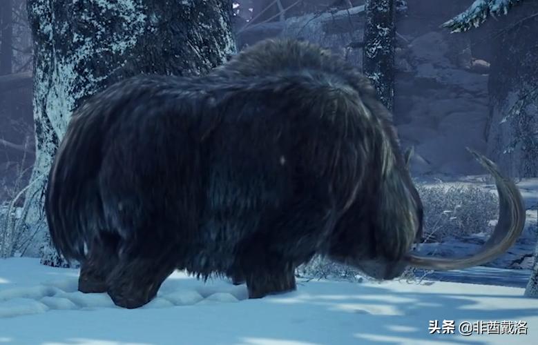 怪物猎人世界dlc雪原,怪物猎人世界冰原dlc深度测评