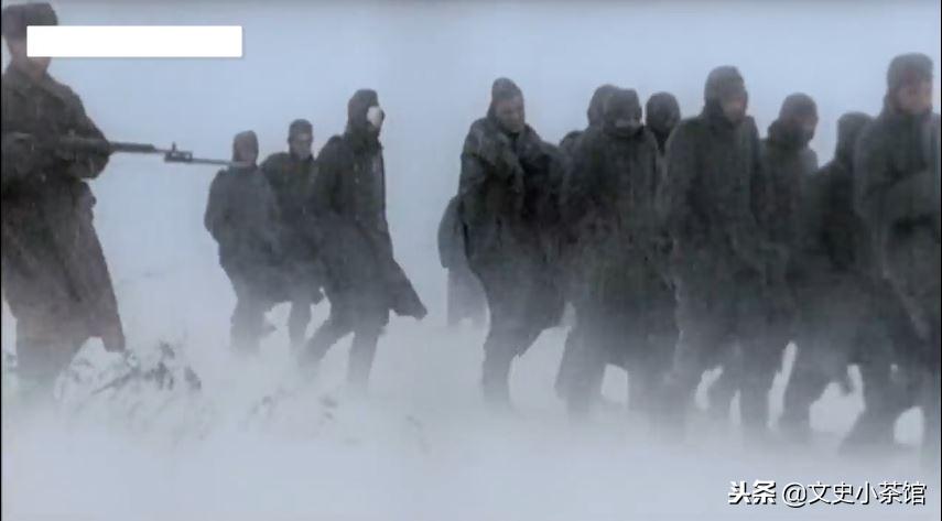 从哥萨克乡村教师到坦克王牌——苏联顶级坦克手拉瓦林科的历程