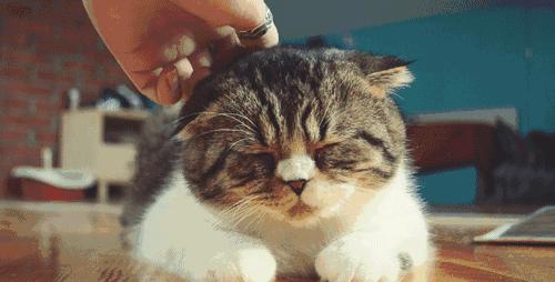 playwithme美国话是什么意思,playwithme是什么意思