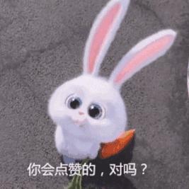 仓鼠最适合新手饲养的排名,最适合新手养的仓鼠