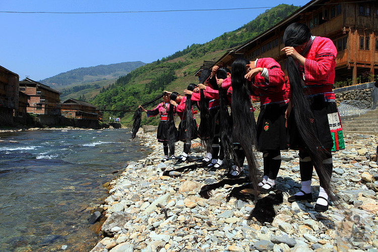 全国第一长发村,天下第一长发村视频