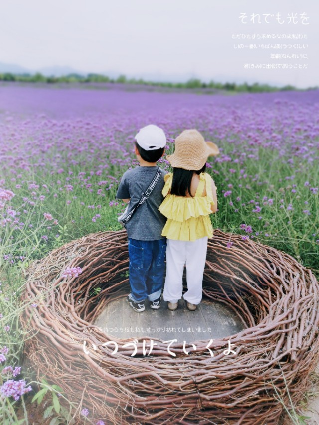 南京江北花海公园,南京适合亲子拍照的地方