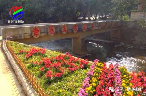 多彩云浮丨美“荔”宝珠，东进融湾