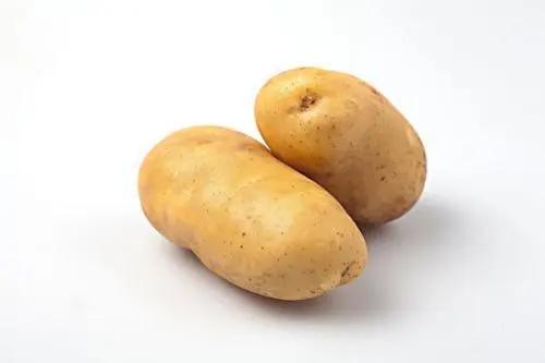 如何运动十天瘦五斤,瘦身运动方法5天瘦10斤