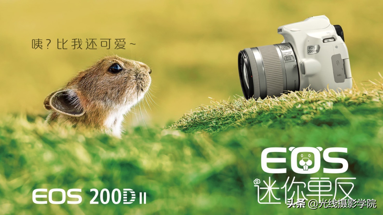 现在佳能相机什么型号最好,目前佳能最值得入手的单反相机