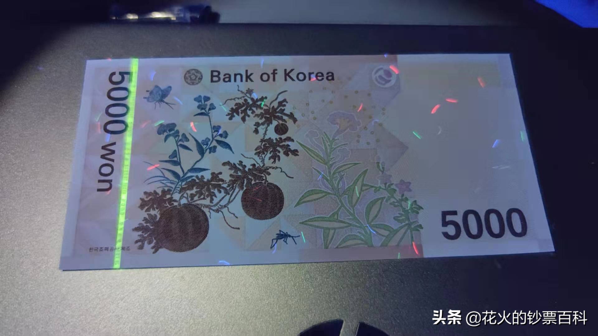 韩国面值最大的纸币人物,韩国最大的韩元纸币