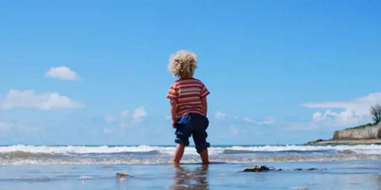 我怀疑儿子不是亲生的合集,我怀疑儿子不是亲生的