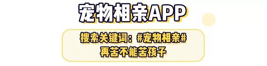 用闲鱼的人都很low？Naive