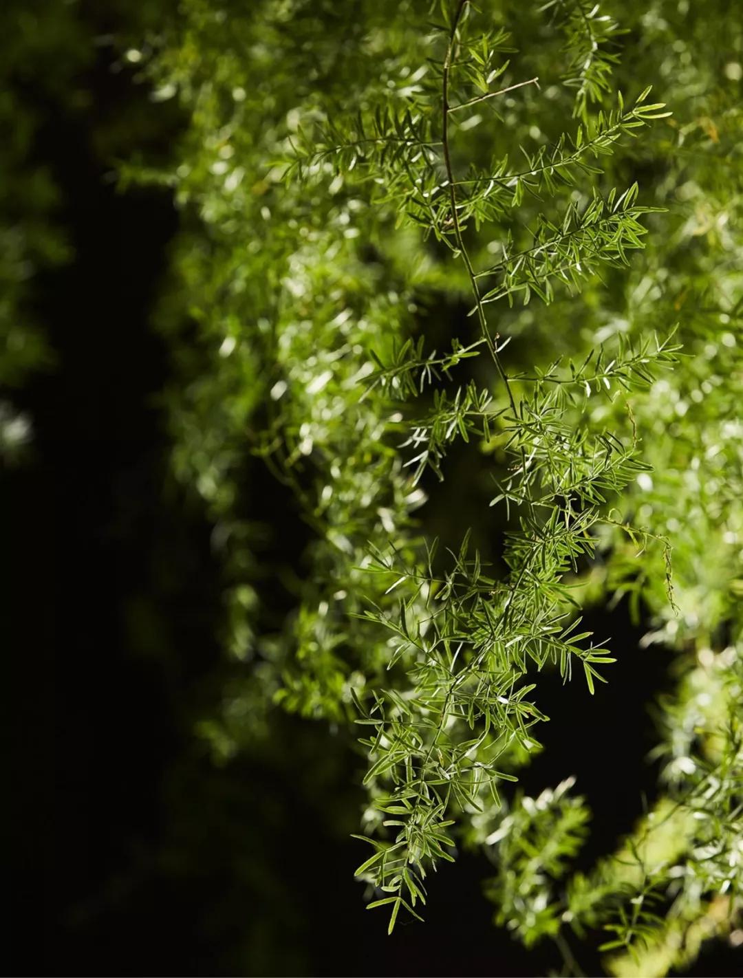 国外比较著名的设计公司,国际顶尖设计公司