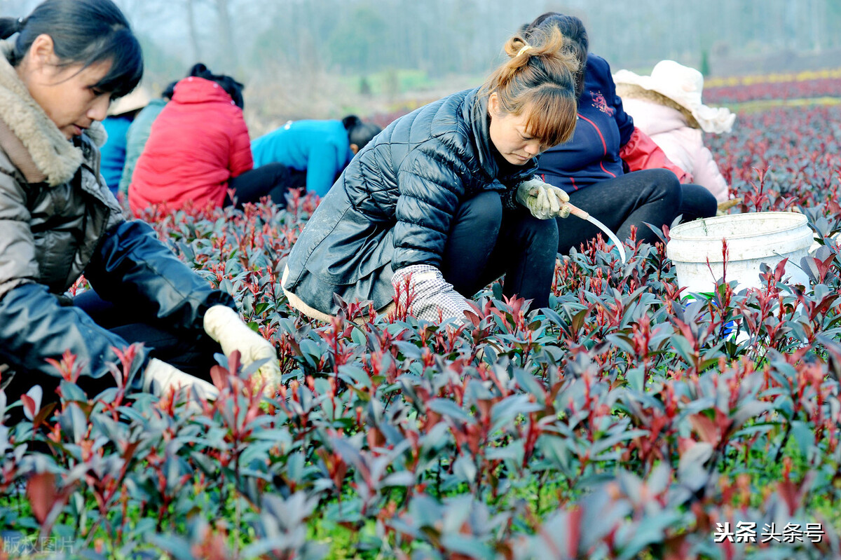 棰勬湡鍦熷湴娴佽浆,鍦熷湴娴佽浆瑙嗛