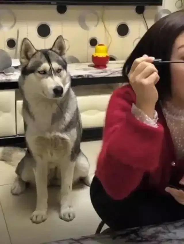 涓瑰嚖鐪煎ソ鐪嬭繕鏄鑺辩溂,澶у瑙夊緱涓瑰嚖鐪煎ソ鐪嬭繕鏄鑺辩溂