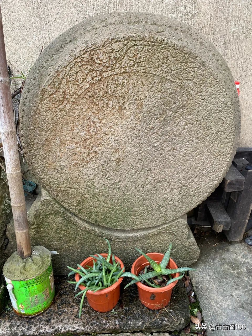 绍兴州山：《古文观止》发祥地重磅基因待解码