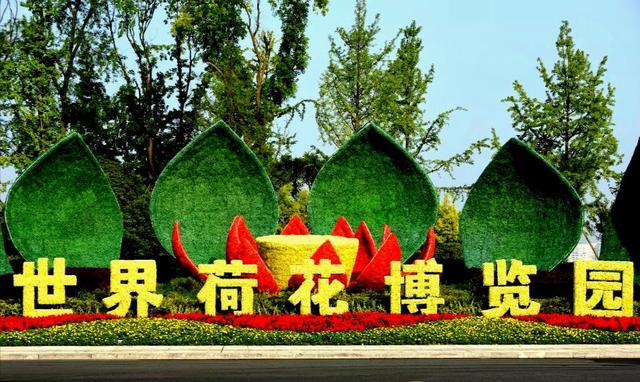 最美的荷花诗句,一起赏荷花的诗词歌赋