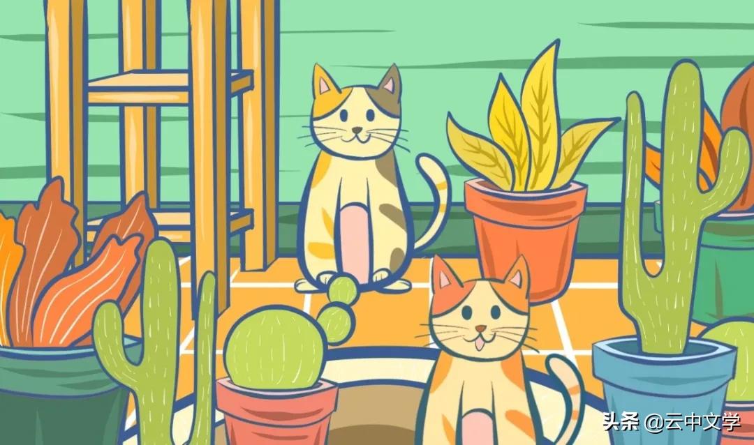 关于夏天的作文500字左右六年级,描写夏天的好词好句好段三年级