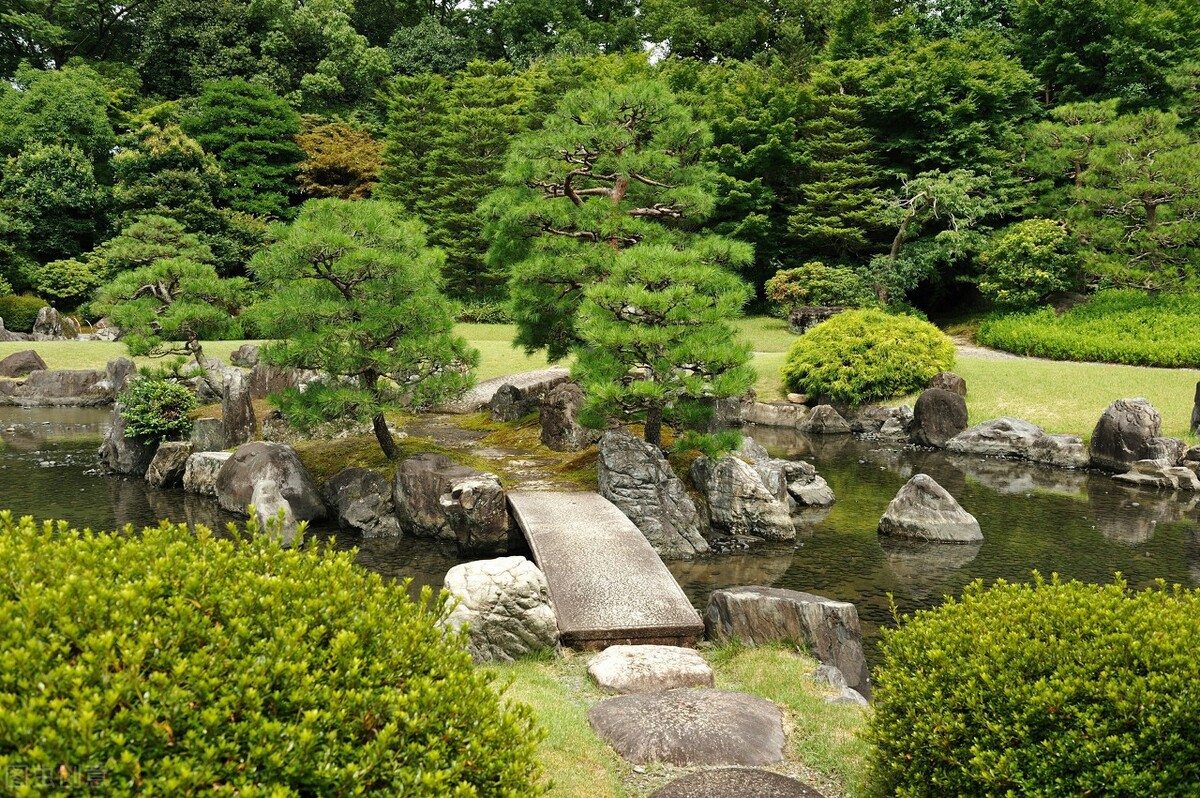 庭院山石景观种类,庭院山石水景造型