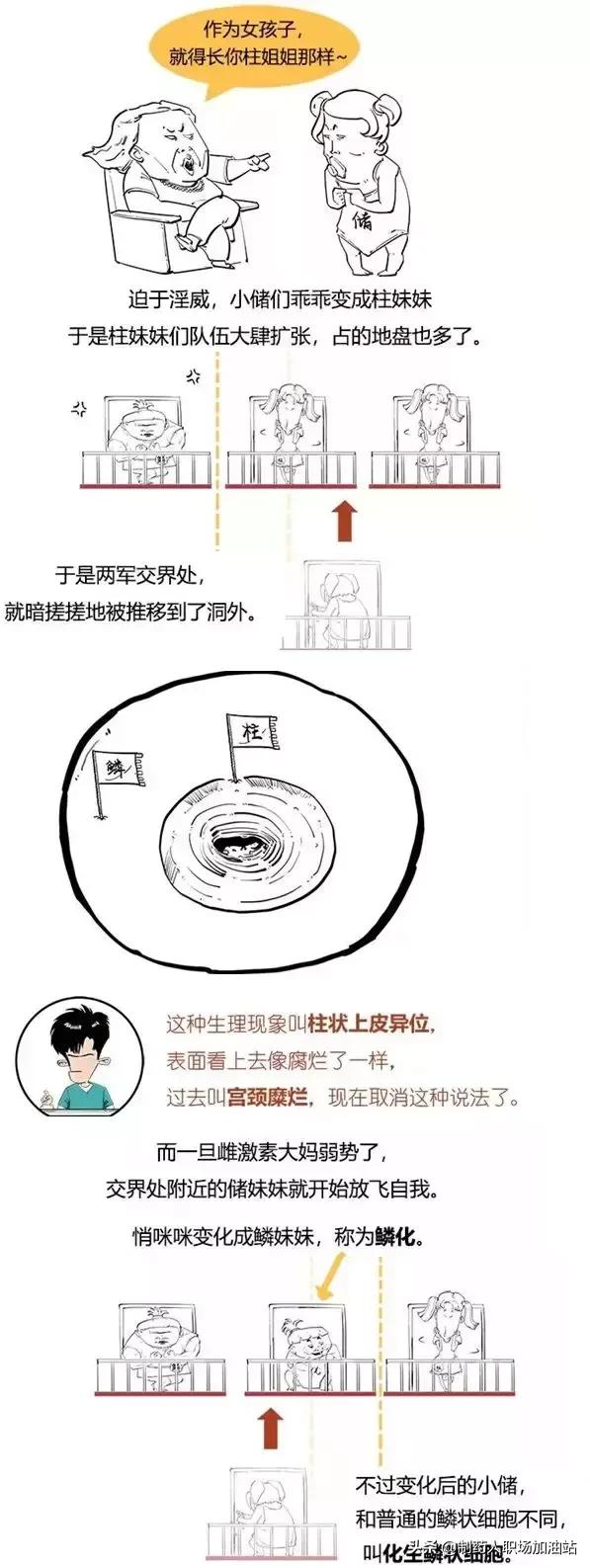 乳房癌、宫颈癌与HPV