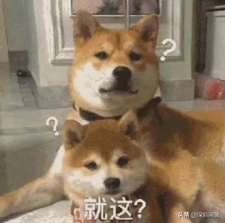 今天深圳的冷空气从哪里来,2022深圳冷空气什么时候来袭