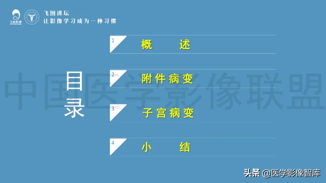 子宫解剖结构输卵管和卵巢位置,子宫附件ct影像学正常解剖表现