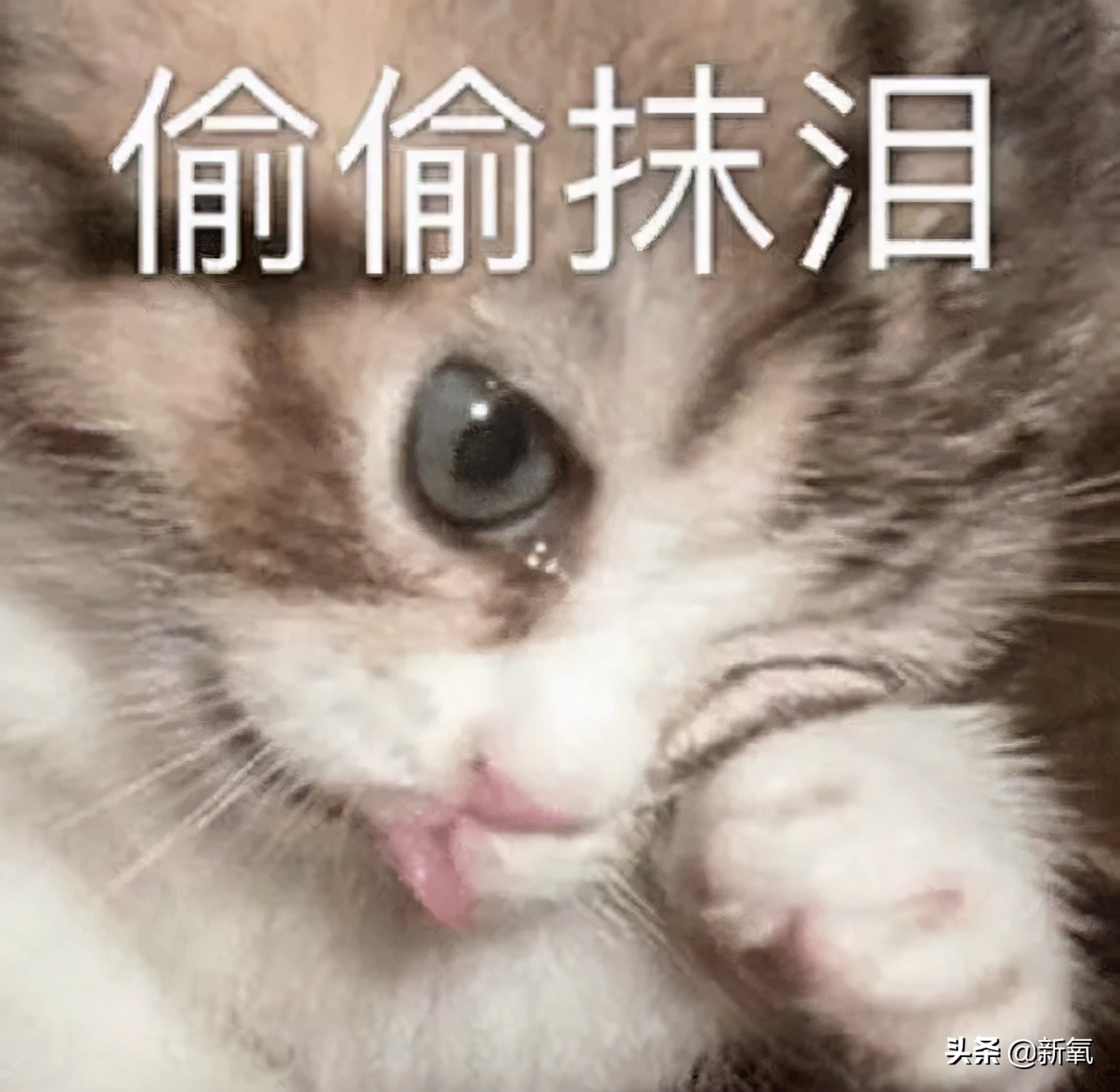 宋祖儿港风绝美照片,宋祖儿侧颜简直太美啦