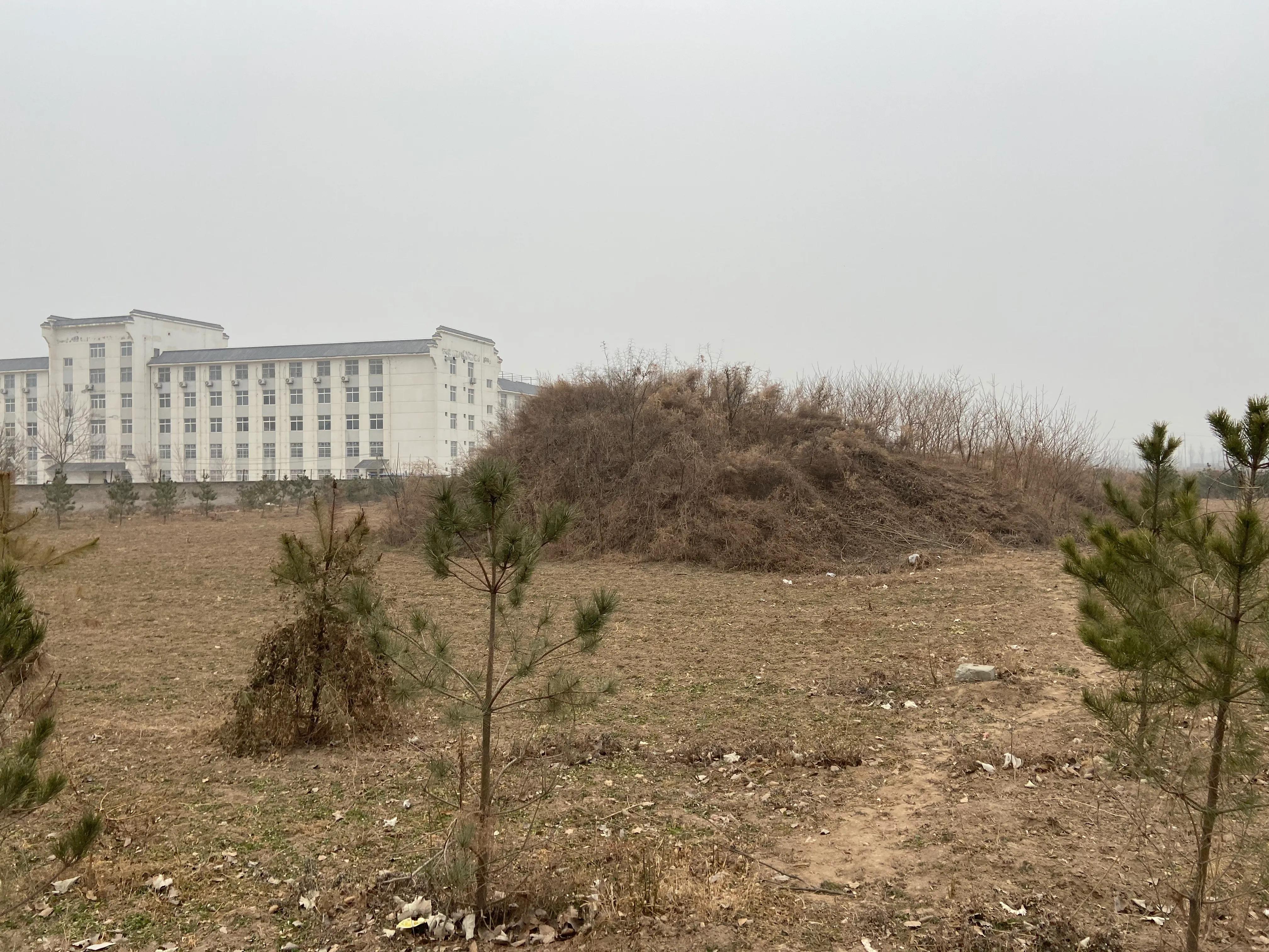 唐太宗李世民的墓是否挖出来,唐太宗李世民的墓有没有被挖