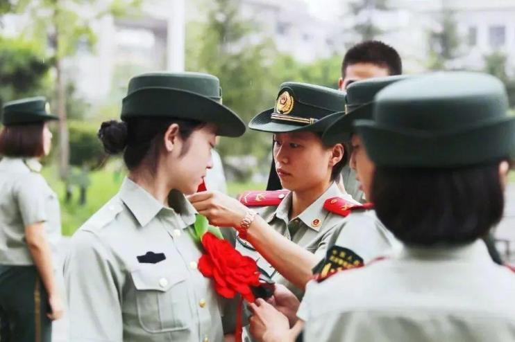 免试升本需要哪些资料和条件,免试升本政策咨询