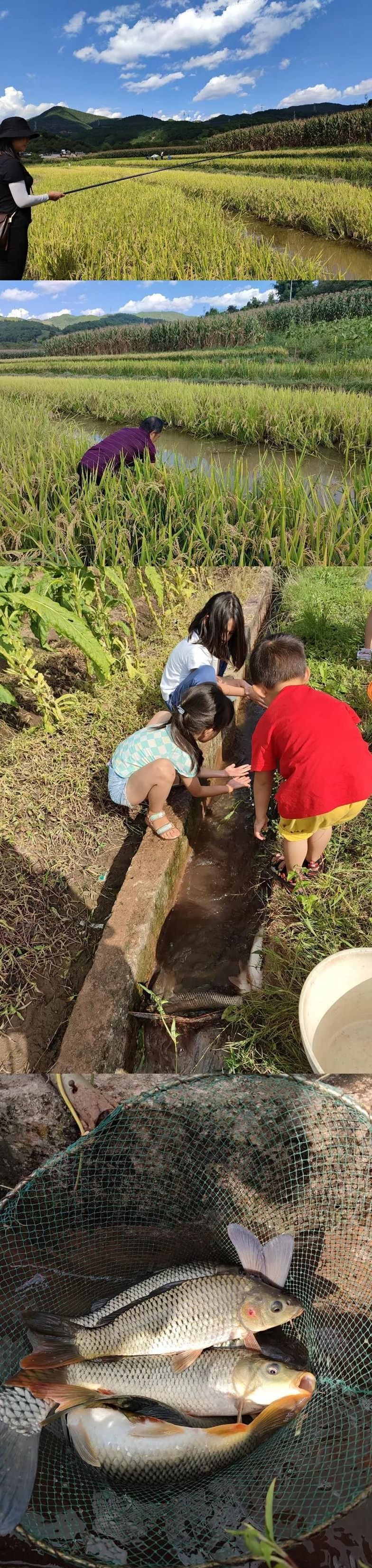 国庆节中秋景区免费打折时间,中秋节10余景区40余项活动等你来