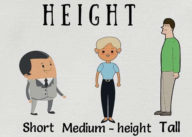 英语学习身体各部位名称,每日英语28个身体部位单词教学