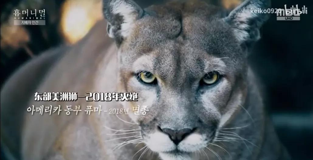 被已婚男欺骗致怀孕一尸两命,女孩儿被骗怀孕最后被杀害