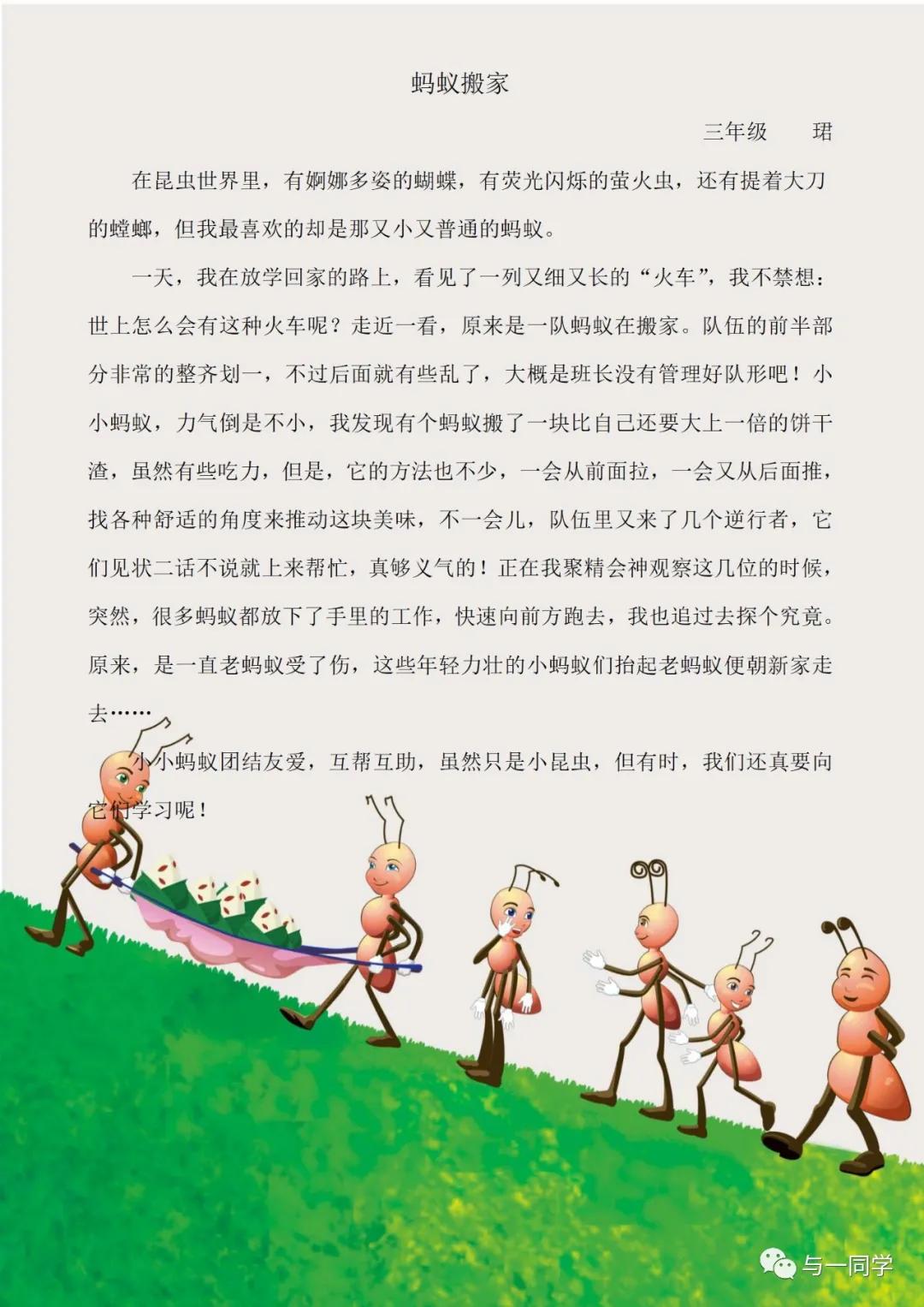 昆虫作文说明文,关于昆虫的作文题目自拟