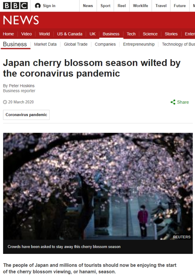 樱花的日文怎么说,樱花的英文是什么