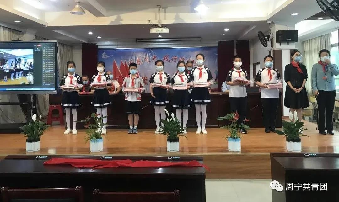 庆六一少先队活动总结,2020年宁德市少先队庆六一