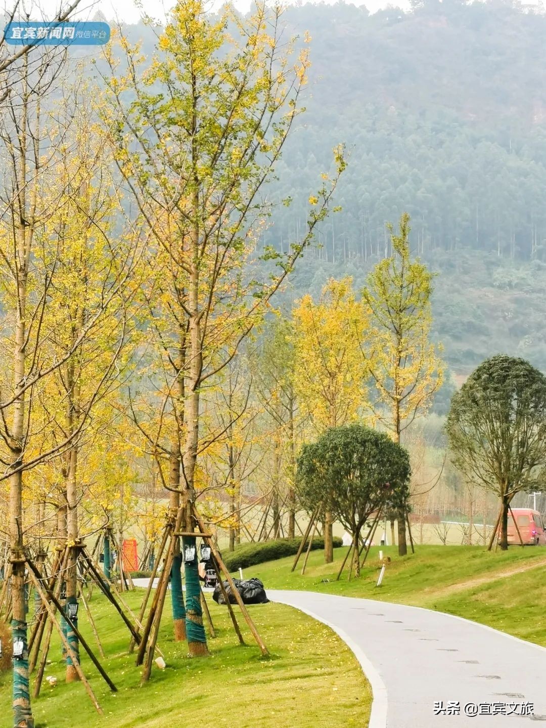 宜宾自然湿地公园,宜宾最漂亮的公园