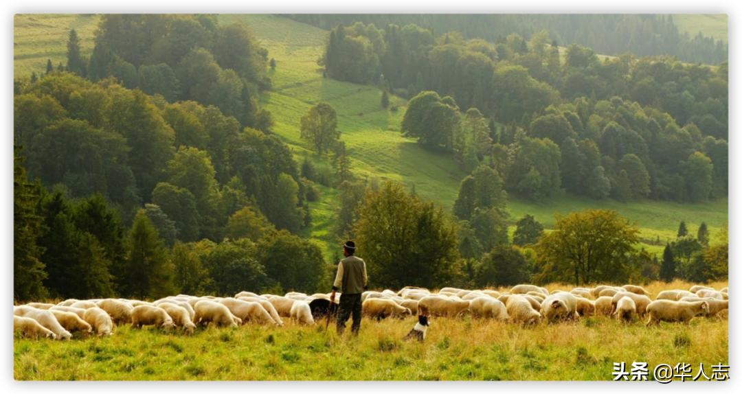 中国地主在新西兰：有人坐拥万顷良田，有人卖掉北京房，牧马放羊