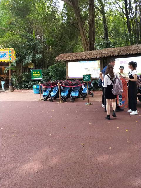 带娃逛动物园亲近大自然的一天,带娃去广州长隆野生动物园攻略