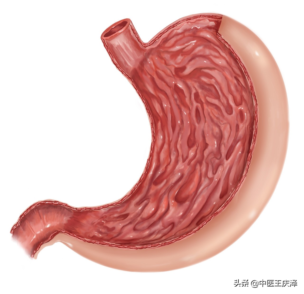 经常吃奥美拉唑对胃有什么影响,奥美拉唑吃多久会变萎缩胃炎