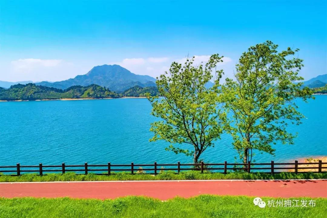 去千岛湖必经！淳安这条路“截胡”不少游客……