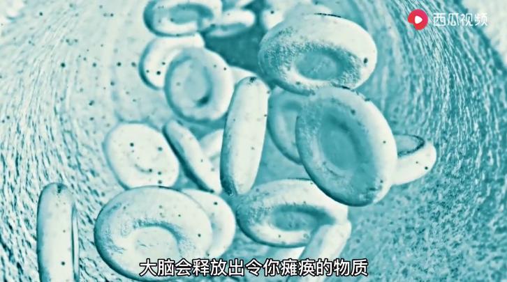 鬼压床的真正原因与处理方法,鬼压床是什么原因导致的怎么解决