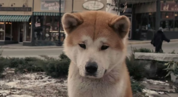 100部电影史上最经典的台词,影史百大经典台词