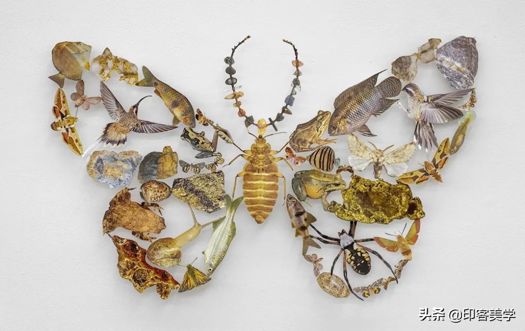 纸的艺术手工作品,惊艳的手工纸艺品