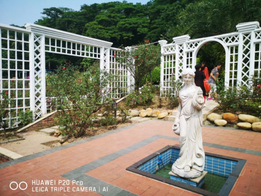 广州云台花园花展,广州云台花园咋样