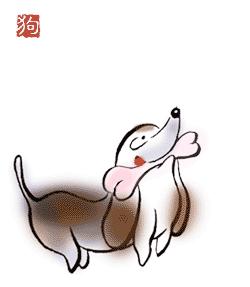 属相与婚姻并没有直接的关系,以属相决定婚姻方向的依据是什么