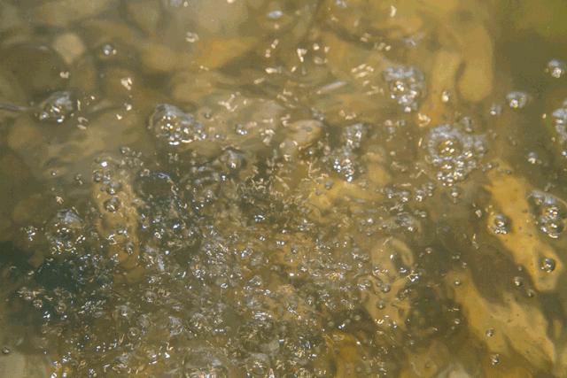 老板疯了18元自助火锅,老板疯了吃火锅继续八折优惠