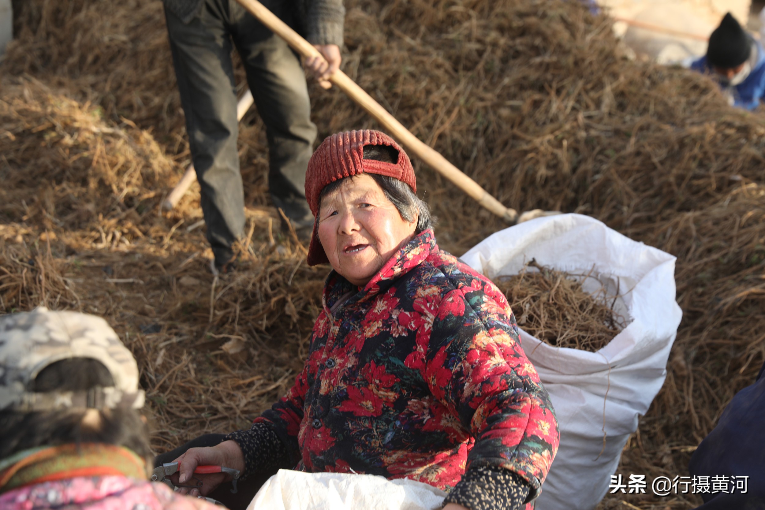 山西1群妇女聚在墙角干无本生意，冠军1天能挣100元，干的啥