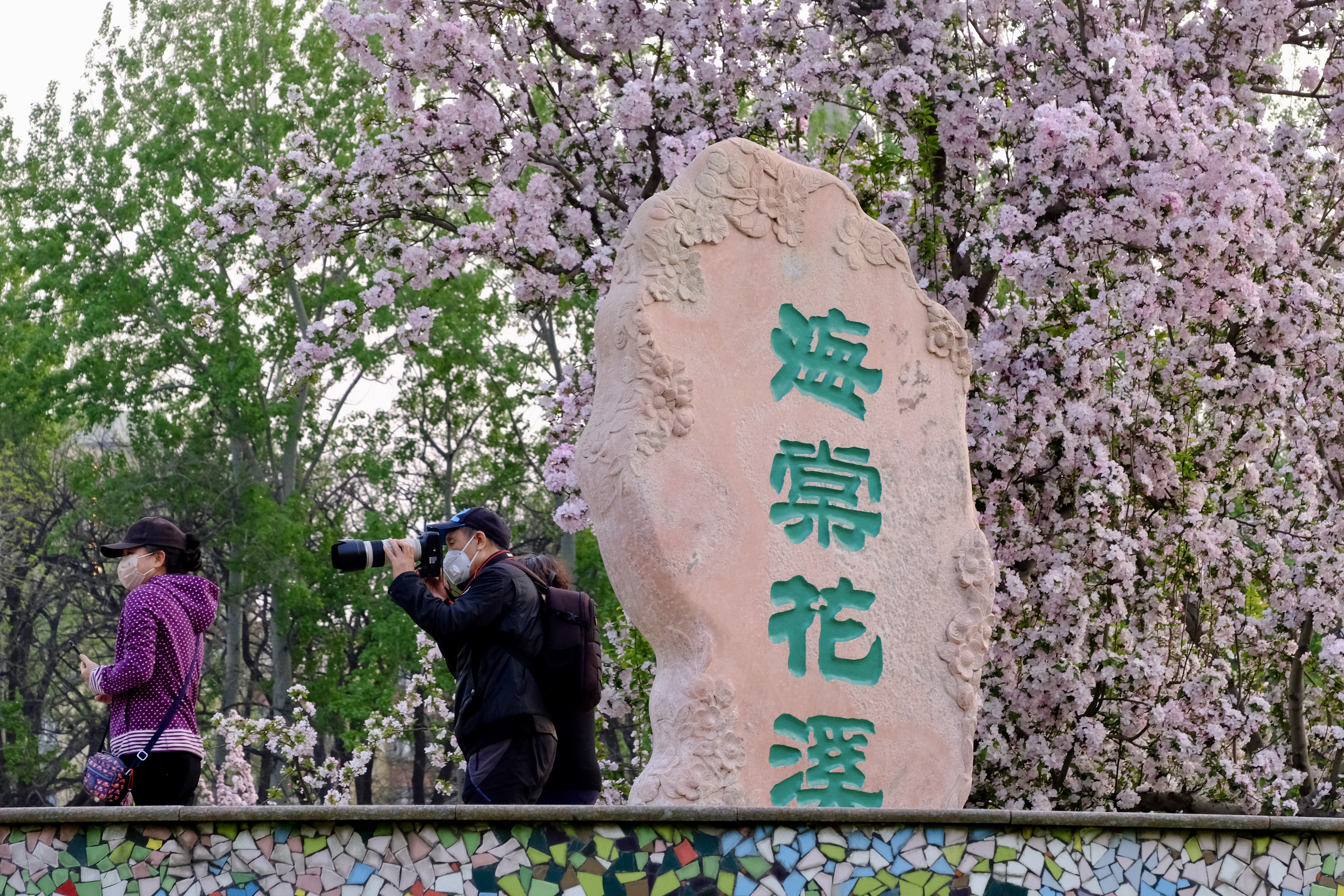 开往地铁上的春天,开往春天的地铁邂逅京城的花开