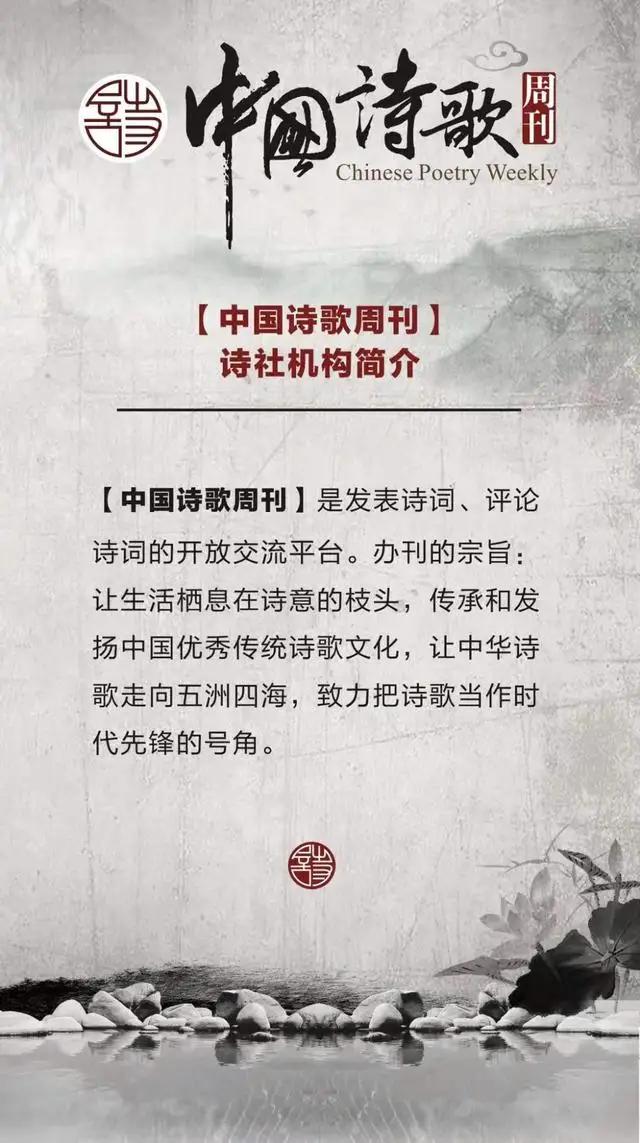 中国诗歌周刊194期,中国诗歌周刊第88期