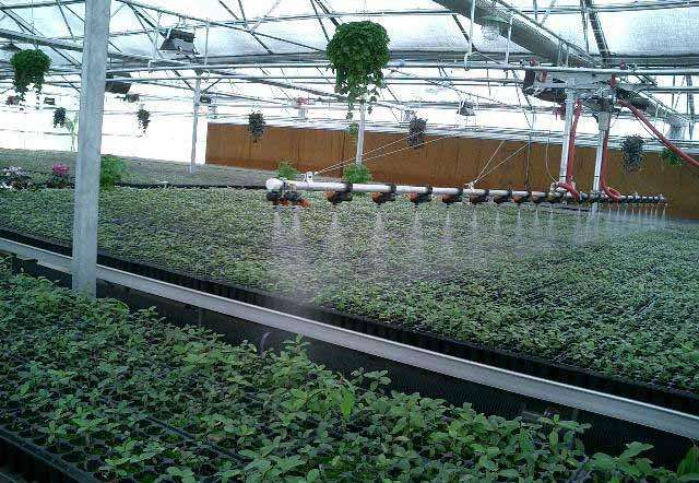 蔬菜无土栽培基质自制方法,花卉无土栽培的十几种常用基质