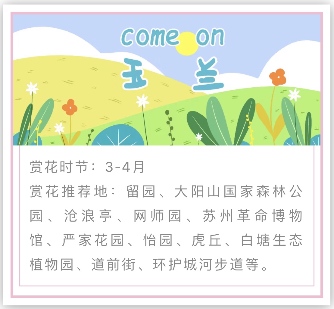 苏州赏花推荐景点有哪些,苏州赏花踏青攻略