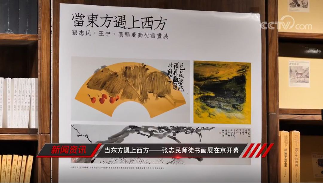 我们上央视啦！303报道奈目艺术展