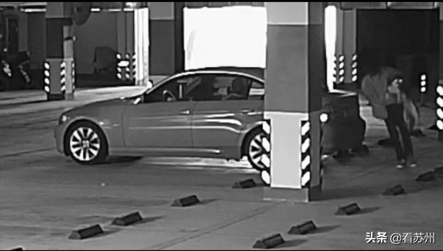 哈士奇被抱走没反抗,两只哈士奇被偷